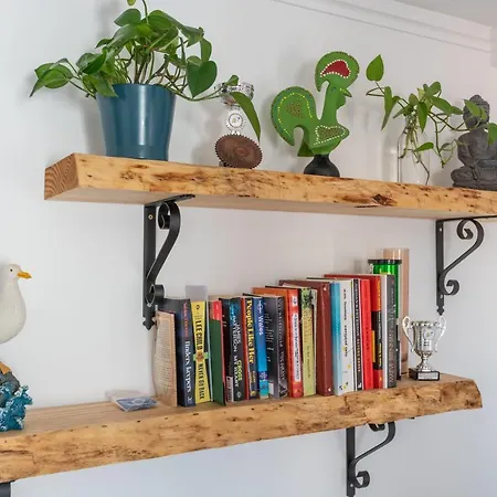 Center Stunning View